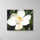 Suche nach magnolien leinwandbilder Natur