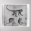 Suche nach pisanello poster Studie