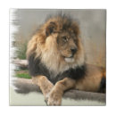 Suche nach könig des dschungels fliesen Löwe