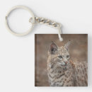 Suche nach bobcat schlüsselanhänger Tier