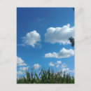 Suche nach blaue wolke postkarten Jede person