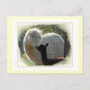 Suche nach tierpostkarte Niedlich