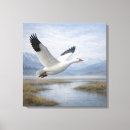 Suche nach gans leinwandbilder Wildtiere