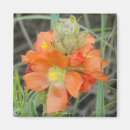 Suche nach wilde blume magnete Jede person