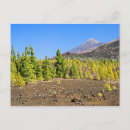 Suche nach teneriffa postkarten Natur