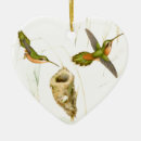 Suche nach tropischer regenwald ornamente Botanisch