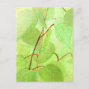 Suche nach grüne raupe postkarten Insekt