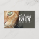 Suche nach tigerkatze Jede person