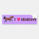 Suche nach araber autoaufkleber Pferd