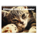 Suche nach kätzchen ich kalender Haustier