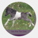 Suche nach colt aufkleber Fohlen