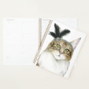 Suche nach die feder planer Katze