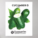 Suche nach gurke poster Gemüse