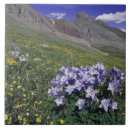 Suche nach klar untersetzer Farbig