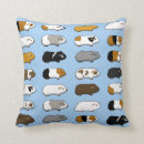 Suche nach meerschweinchen geschenke Haustier