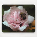 Suche nach hummel mousepads Blume