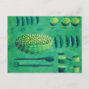 Suche nach schalen postkarten Jede person