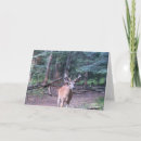 Suche nach whitetail karten Tierwelt