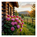 Suche nach pfingstrosen poster Jede person