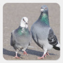 Suche nach vogel valentinsgruß Jede person