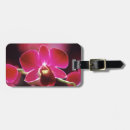 Suche nach orchideen gepäckanhänger Blume