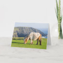 Suche nach shetland pony karten Pferd