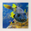 Suche nach blaue fische puzzle Niedlich