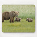 Suche nach weibchen mousepads Bär
