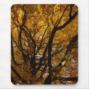 Suche nach ahornbaum mousepads Bäume