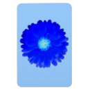 Suche nach marigold magnete Pflanze