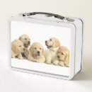 Suche nach labrador brotdosen Portrait