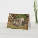 Suche nach tierfamilie karten Wild lebende tiere