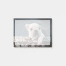 Suche nach junges tier post it Haustiere