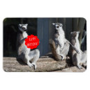 Suche nach lemur wohnen zuhause Ringschwanz