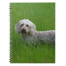 Suche nach haarig kleine notizbücher Hund