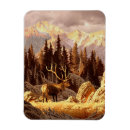 Suche nach stier magnete Wyoming