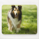 Suche nach schäferhund mousepads Park