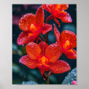 Suche nach rote orchidee poster Blume