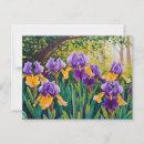 Suche nach gelbe iris postkarten Für alle