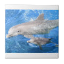 Suche nach delphin fliesen Blau