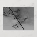 Suche nach schwarze silhouette postkarten Jede person