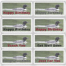 Suche nach loon aufkleber Vögel