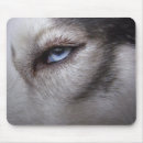 Suche nach schlitten mousepads Hunde