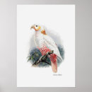 Suche nach altes tier poster Natur