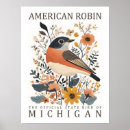Suche nach amerikanisches rotkehlchen poster Vogelvogel