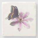 Suche nach clematis untersetzer Natur