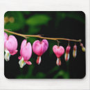 Suche nach blutung mousepads Rosa