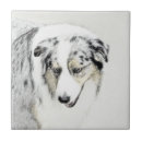 Suche nach shepherd fliesen Aussie