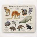 Suche nach känguru mousepads Tierwelt