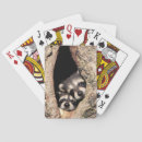 Suche nach waschbär spielkarten Tiere